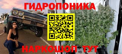 прущие крисы Анжеро-Судженск