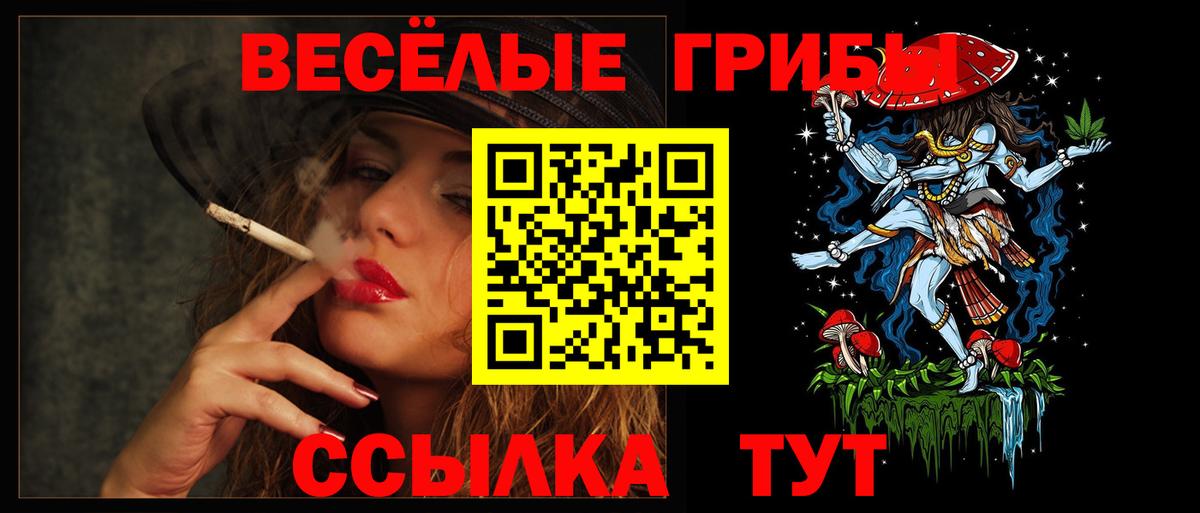 Галлюциногенные грибы Psilocybe  Вход с VPN  Галлюциногенные грибы Psilocybe  купить наркоту  Батайск 
